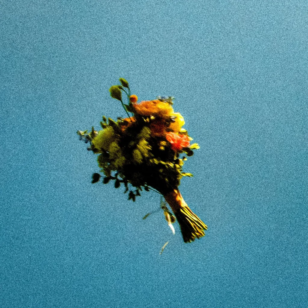 track-artwork