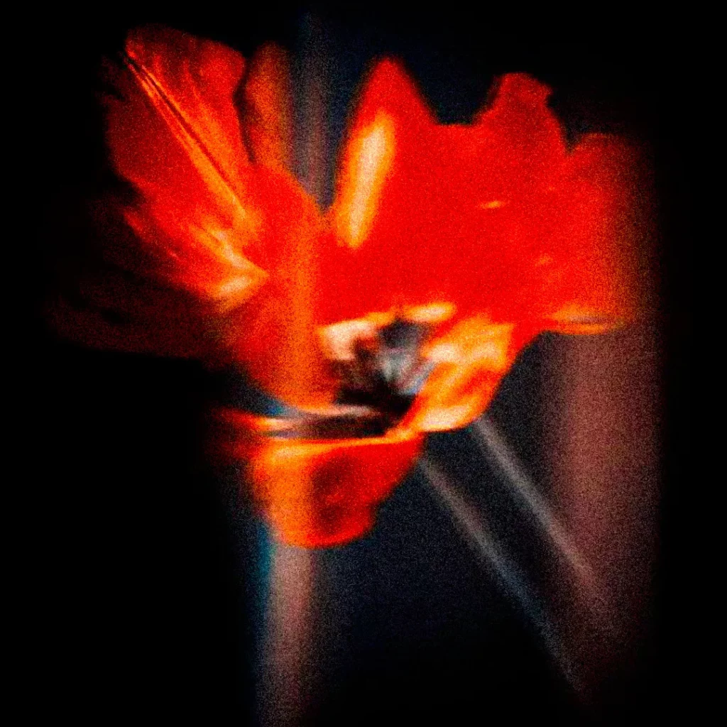 track-artwork