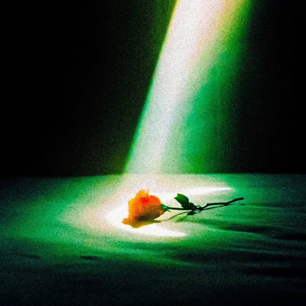 track-artwork