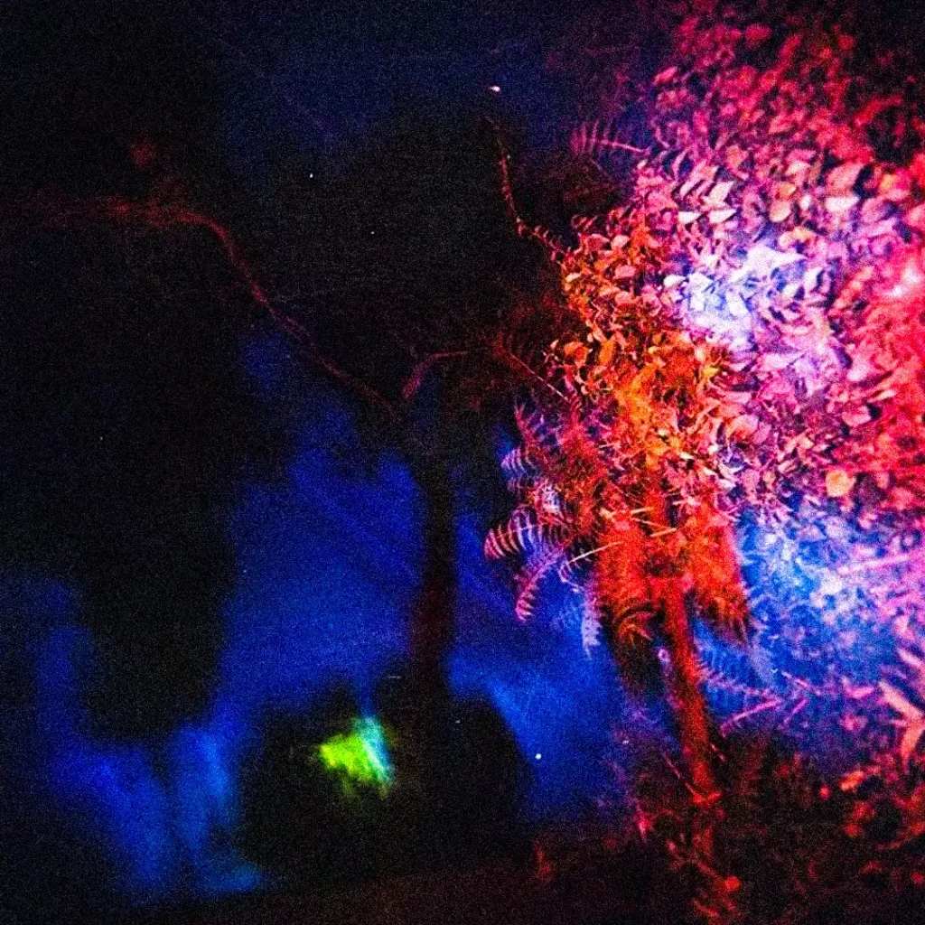 track-artwork