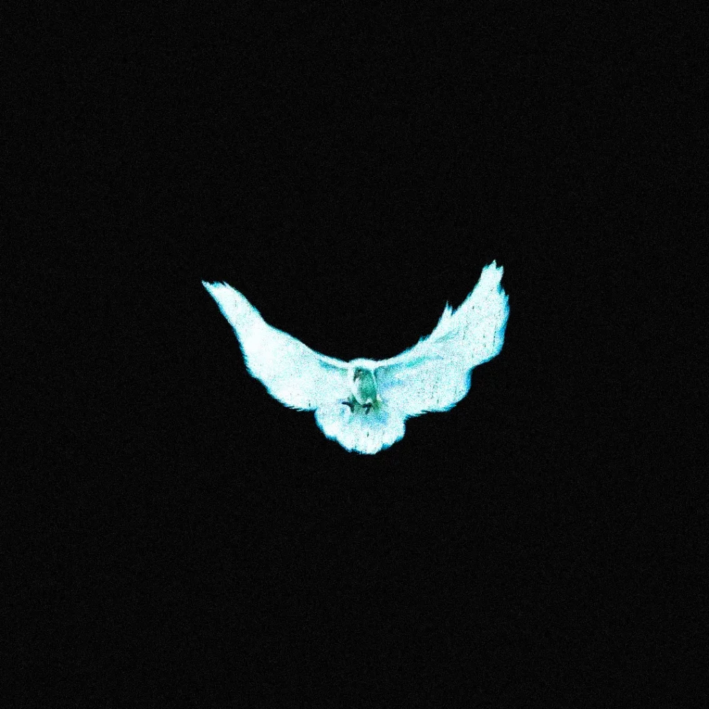 track-artwork